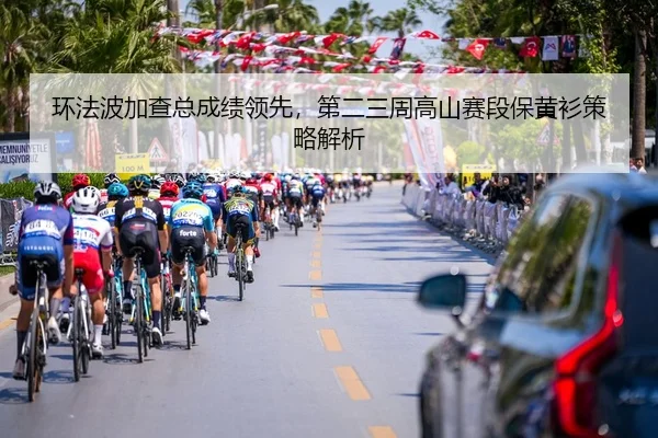 huan-fa-bo-jia-cha-zong-cheng-ji-ling-xian-di-er-san-zhou-gao-shan-sai-duan-bao-huang-shan-ce-lve-jie-xi-3-787.jpg