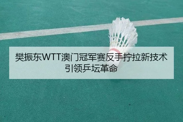 樊振东WTT澳门冠军赛反手拧拉新技术引领乒坛革命